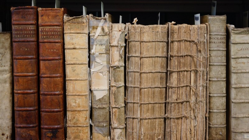 Алдагдаж үгүй болсон 10 онцгой ном