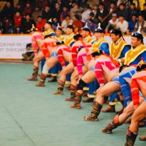 Гахай жилийн бөхийн дуулианууд