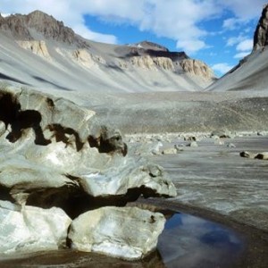 Амьд амьтангүй сүүлчийн газрын эрэлд